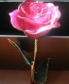 +Christmas Day Gift+gold rose+free shipping+gift packaging+12inch length real rose dipped in 24k gold