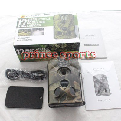 Digital Download Games on Images Download Free Casino Games Computer Auction