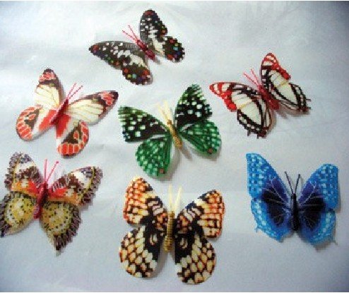 butterfly magnets