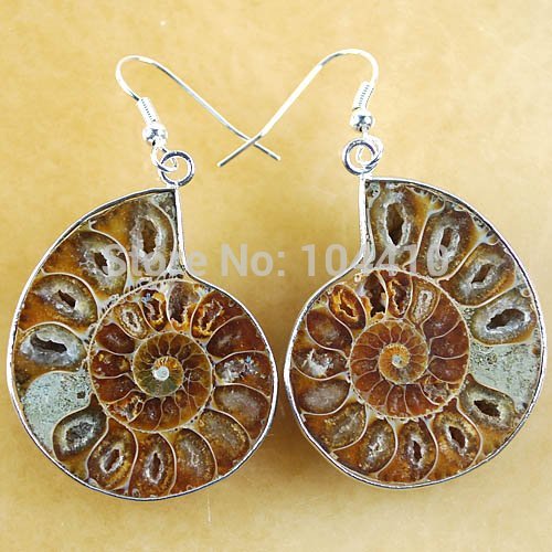 Ammonite Jewelry