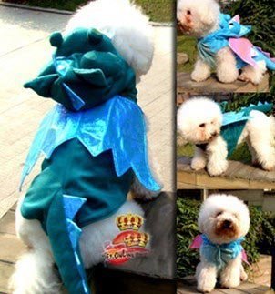 Halloween Dog Outfits