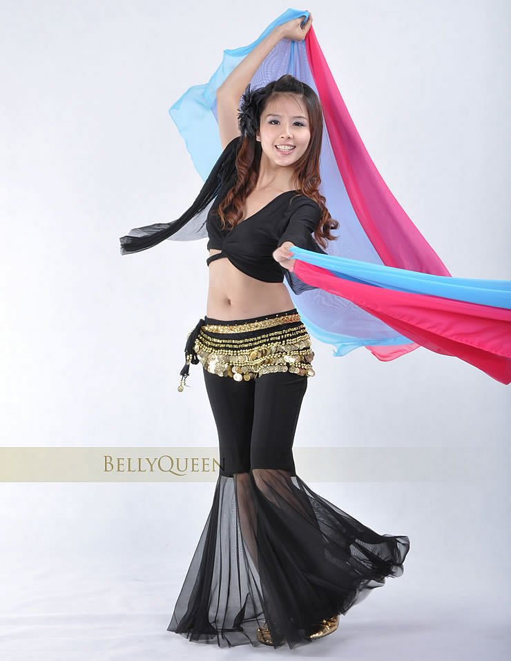 free shipping belly dance suit belly dance costume belly dance wear Belly Dance costume 3pcs top