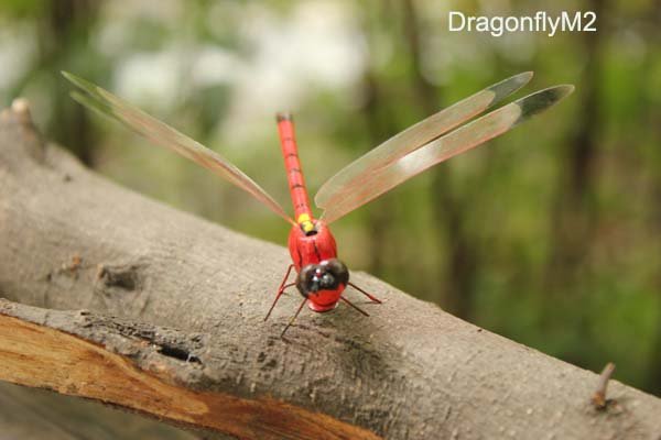 Dragonfly Home Decor Price,Dragonfly Home Decor Price Trends-Buy ...