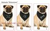 Free shipping !  MOQ: 10pcs/lot , Wholesale dog Bandana, dog scarf,  3 different motiv available , with rhinstones,  Unit size