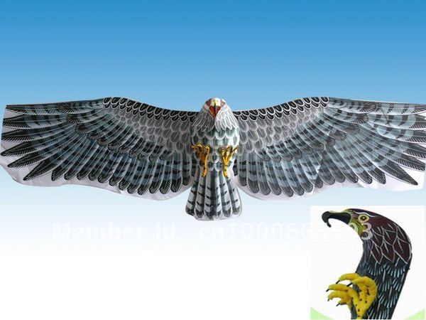 3D-59-Huge-Japanese-Eagle-Hawk ...