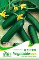 Free Shipping 3 Bags of Dutch mini cucumber Seeds *20 fruit and mini vegetable seeds per Bag