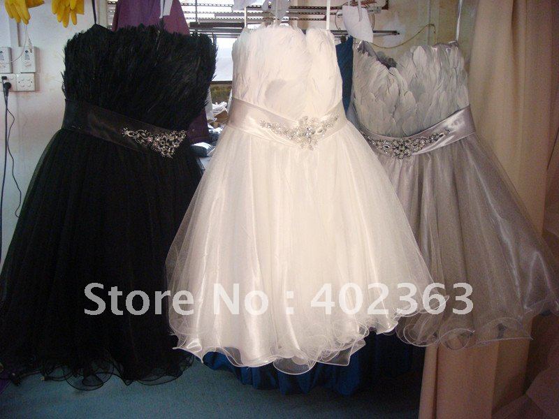 Wholesale 2012 Luxury and Elegant Ball Gown Chapel Train Tulle Feathered 