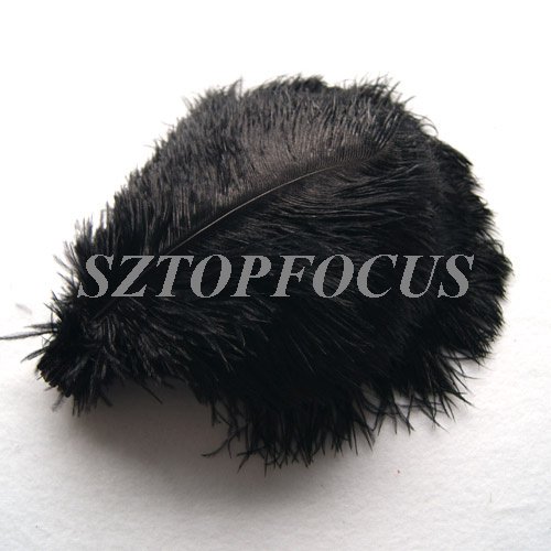  Dyed Ostrich Feather Plume Black for wedding centerpiece FREE SHIPPING