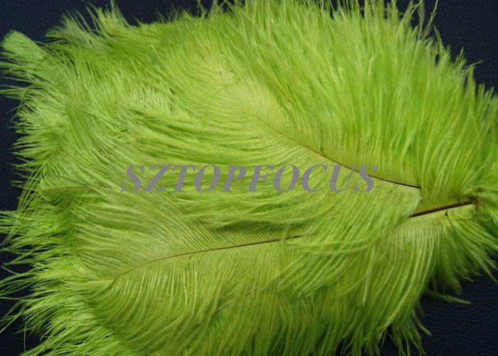 Dyed Ostrich Feather Plume