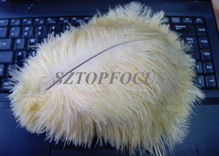 Dyed Ostrich Feather Plume CREAM for wedding centerpiece FREE SHIPPING
