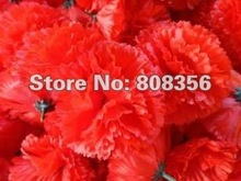 200pcs High Quality Simulation Artificial Silk Carnation Flower Heads Mother s Day DIY Jewelry Findings Red
