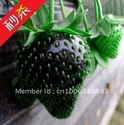 a morango 10pcs/bag preta semeia o jardim Home de DIY