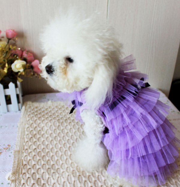 3 COLOR Luxury Cat Dog clothes Party Wedding Princess Layer skirt dress XSS