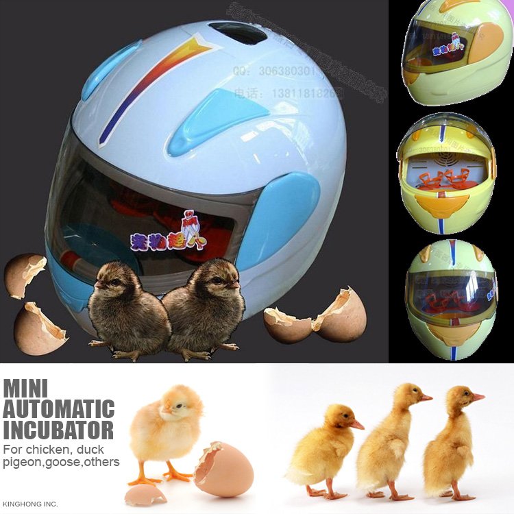 egg-AC220-240V-MINI-CUTE-type-egg-incubator-For-chicken-duck.jpg