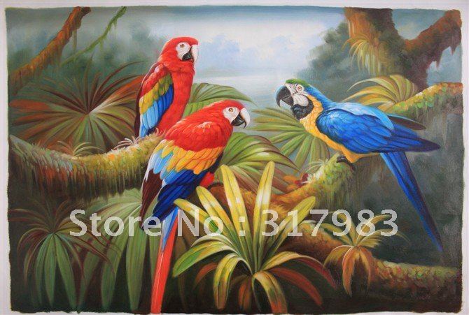 Macaw Price