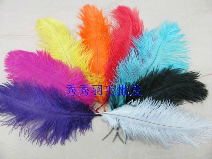decorative feathers