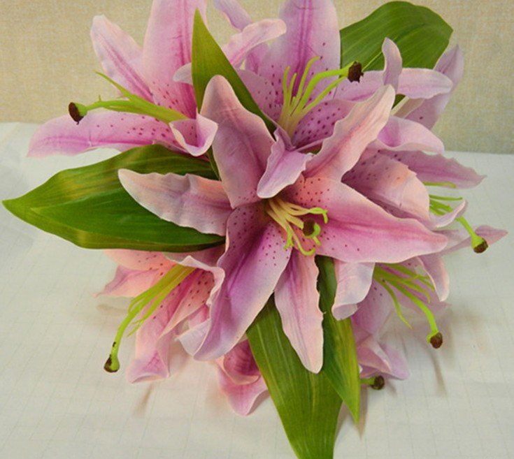 Silk Lilies