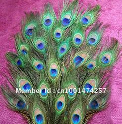 50pcs Beautiful Natural Great Decorations,Peacock Tail feathers,eye feathers(China (Mainland))