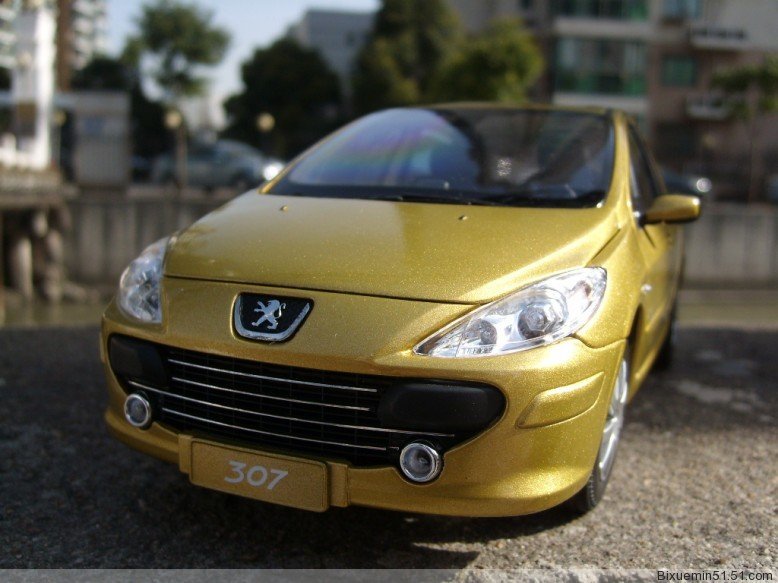 peugeot 307 gold