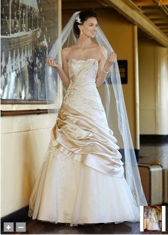 2001 davids bridal gowns