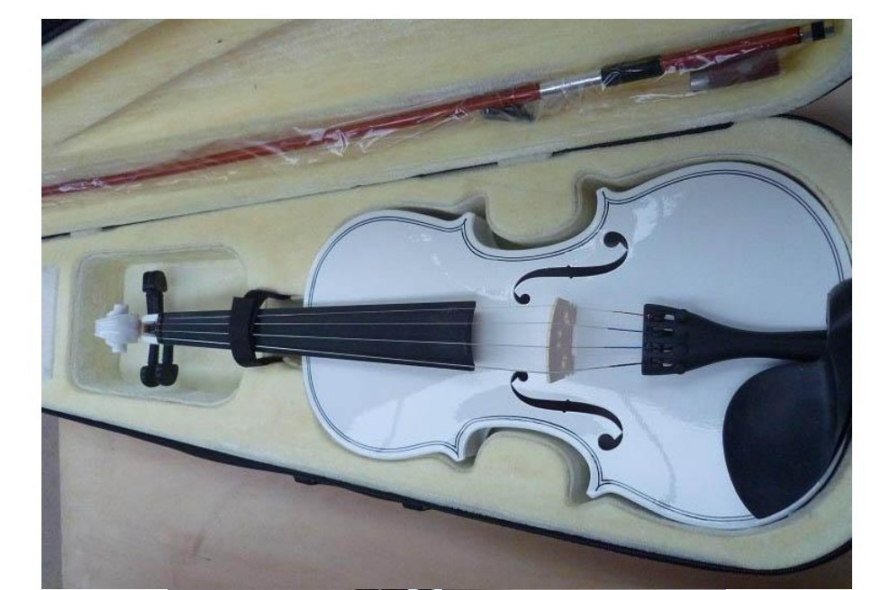 violin bow