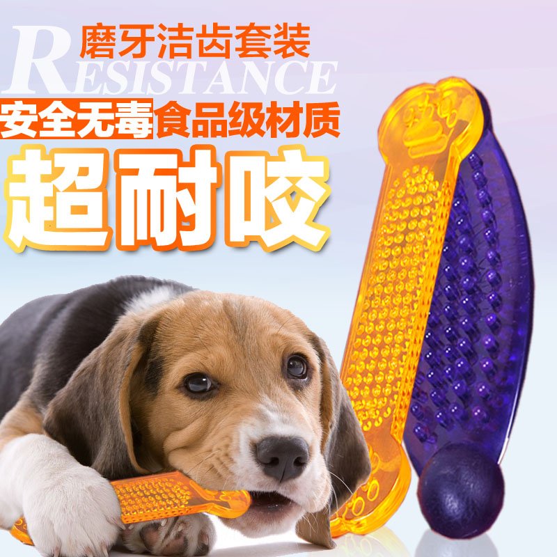 Eco-friendly pet toy dog chews odontoprisis set teddy dog toy 2 dog supplies b(China (Mainland))