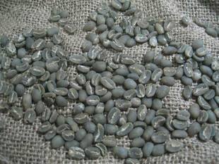 coffee green bean typica indoesia green bean 18 size