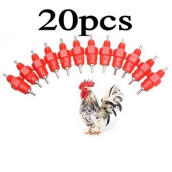 Poultry Supplies Online