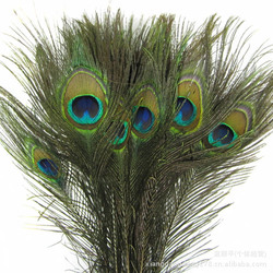50pcs Beautiful Natural Peacock Tail Feathers Eye on Feather 10''-12'' 25cm-30cm For DIY Decoration(China (Mainland))