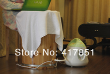 YG 900 Intelligent anion steam engine home sauna fumigation barrel shipping health care products