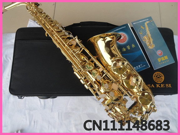 Alto saxophone SAX - 140 golden surface paint(China (Mainland))