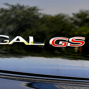 Buick new regal modified super sports edition gs trunk gs label(China (Mainland))