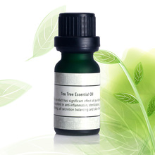 Tea tree essential acne oil 100 pure natural extract The best acne removing effect 10ml free