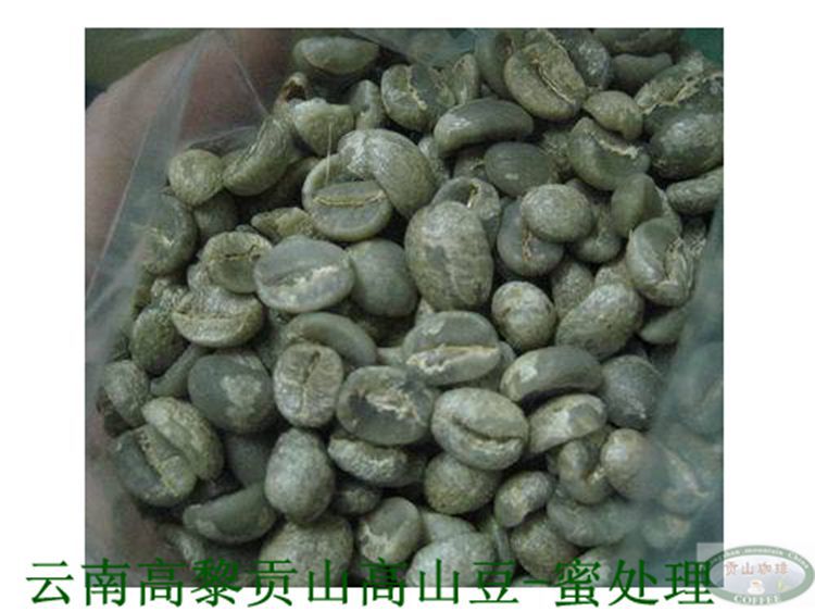 coffee green beans s s cafe china gaoligongshan mountain 16 nature Green coffee beans 10lb bag