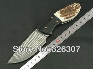 Damascus small straight knife folding knife army knife survival knife Japanese Bell
