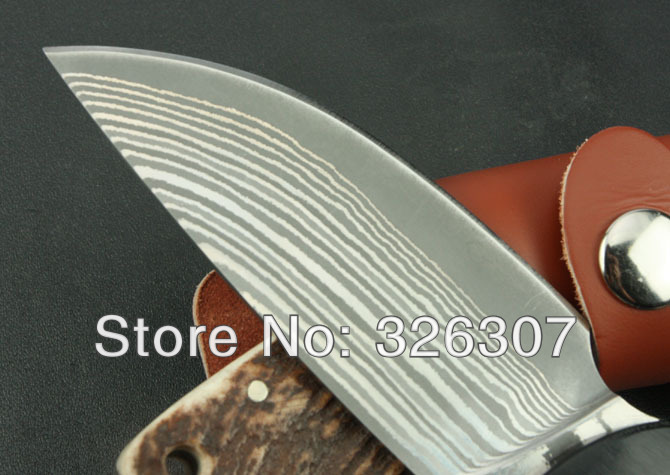 Damascus small straight knife folding knife army knife survival knife Japanese Bell