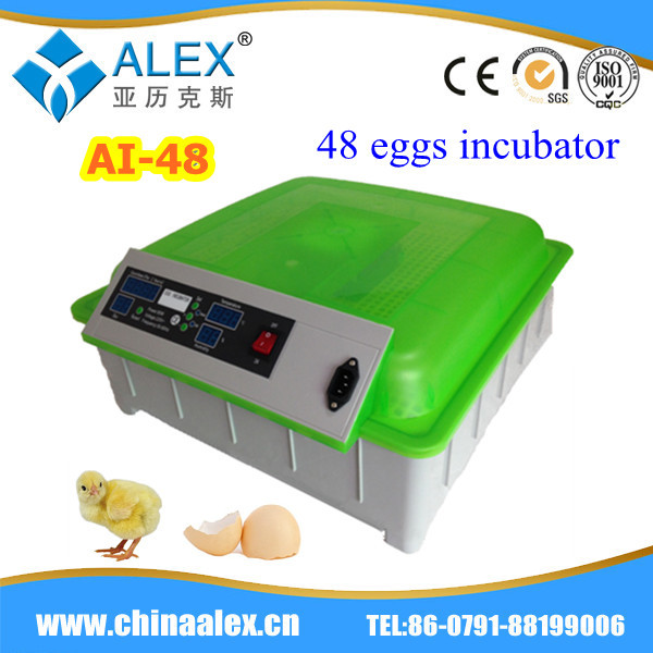 Best Egg Incubators Promotion-Online Shopping for Promotional Best Egg 