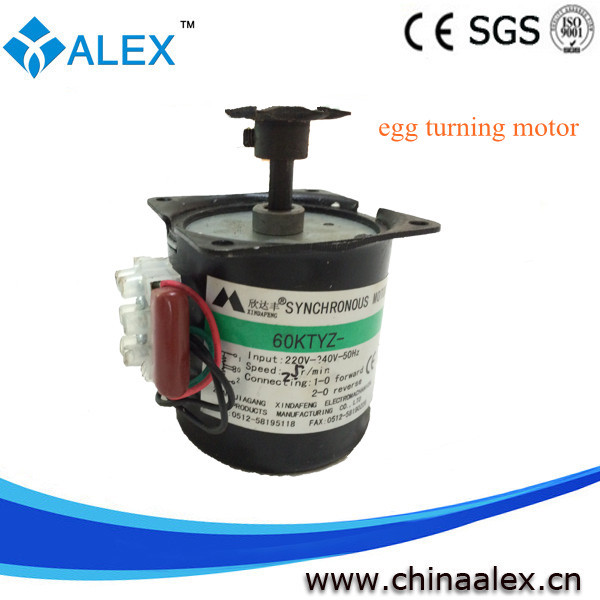 egg incubator turning motor incubator egg turner for sale-in Egg 