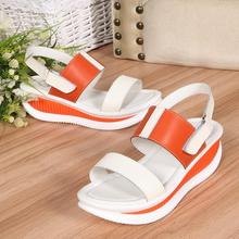 2014 The New Trend Of Mixed Colors Of Summer Shoes Slope With Thick Crust Models Counters