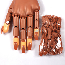 The Trainer Hand Human Like Finger Personal Salon Fake Hand Training Practise 300 Pcs Refill Nail