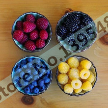 Free shipping, 4 kinds of color 4000 PCS raspberry seeds (1000 blue, 1000black, 1000 red, 1000 yellow) delicious fruit plants