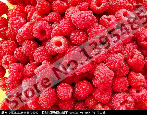 Free shipping 4 kinds of color 4000 PCS raspberry seeds 1000 blue 1000black 1000 red 1000