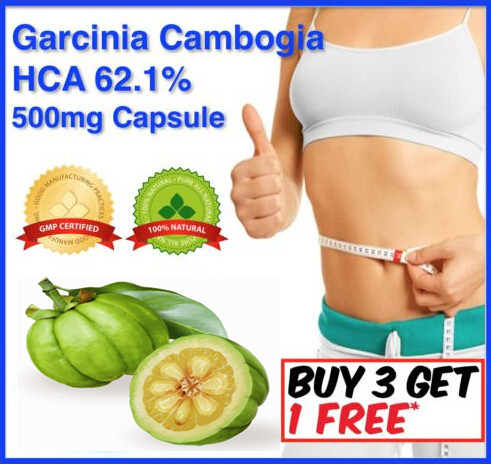 500mg 300caps GARCINIA CAMBOGIA HCA 62 1 ALL NATURAL PURE WEIGHT LOSS FAT BURN 2000mg Daily