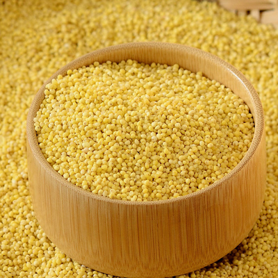 400g New specialty farm production little millet Small glutinous millet Coarse grains rice cereal