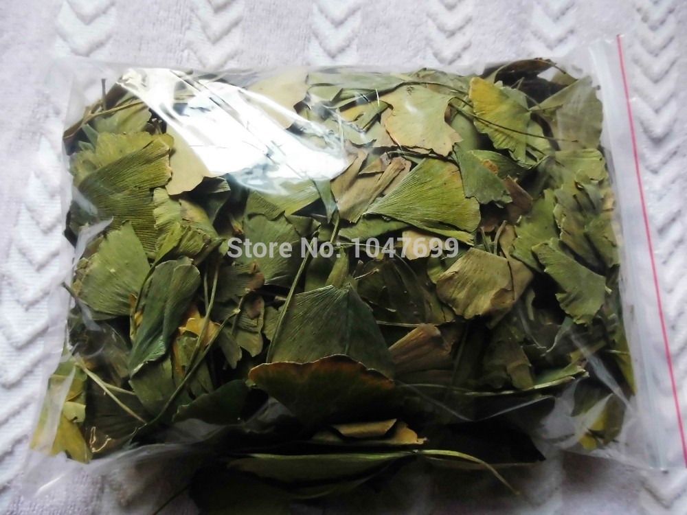 Free shipping Chinese ginkgo biloba green tea to drink with hot boiled eight minutes later Oolong
