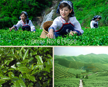New 2015 Anxi Tie Guan Yin Tea 500g Premium Chinese Organic Green Oolong tieguanyin 1725