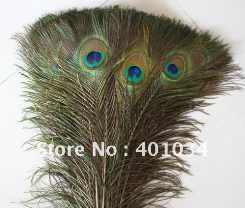 Free shipping peacock feather for weddingparty decorationjewelry making 