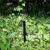 Wholesale Free Shipping 8pcs/lot Outdoor Garden Solar Light Lamp Stainless Steel Solar Lawn Light