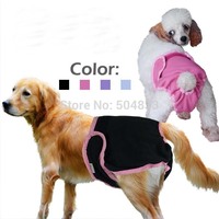 Dogs In Thongs