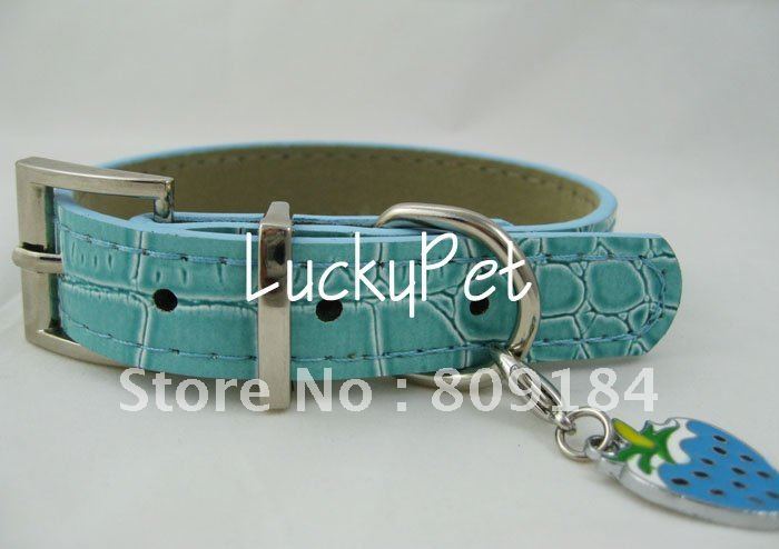 ... -dog-collars-and-leashes-available-durable-pu-dog-training-collar.jpg ... -dog-collars-and-leashes-available-durable-pu-dog-training-collar.jpg